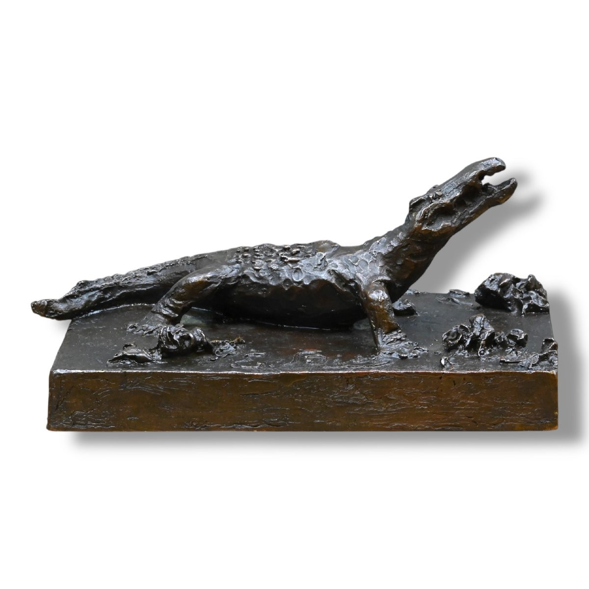 Emilio Bisi - Coccodrillo in Bronzo - Italia Fine XIX Secolo-photo-4